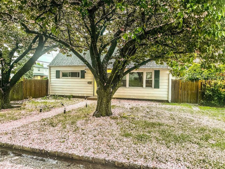 Pousada Entire 3bdr W/parking, Backyard, Firepit, Bbq Nova York